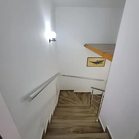 Mollanji Chalet Tirana